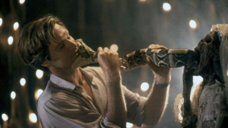 La serpiente y el arcoírisportada